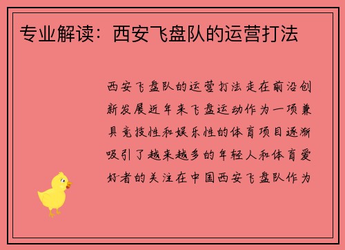专业解读：西安飞盘队的运营打法